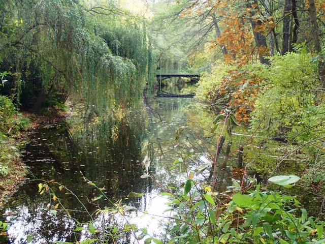 PA264531 River-in-Tiergarten-park