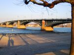 IMG 1416 Mainz-River-Rhine Theodor-Heuss-bridge